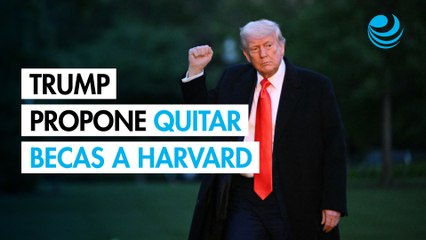 Trump evalúa quitar 3,000 millones en becas a Harvard y dárselos a escuelas de comercio