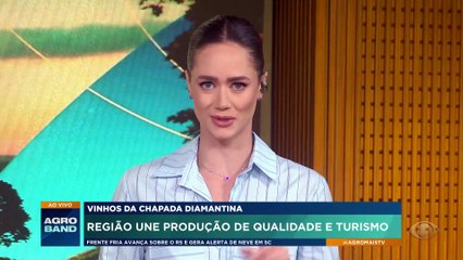 Chapada Diamantina ganha reconhecimento na produção de vinhos
