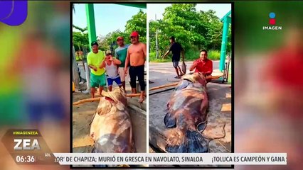 Así queda la tabla de los equipos más ganadores del futbol mexicano