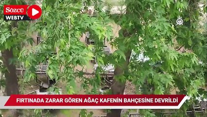 Bilecik'te fırtınada zarar gören ağaç kafenin bahçesine devrildi