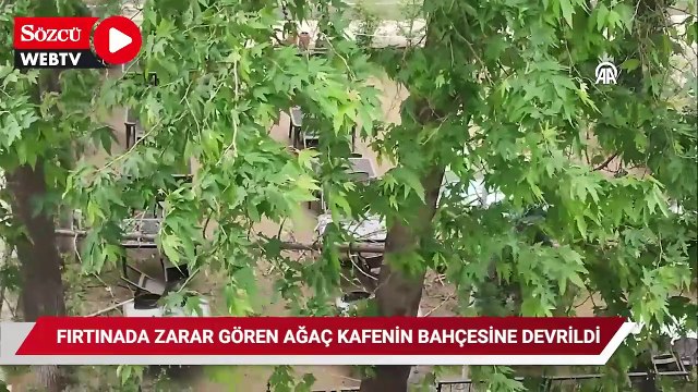 Bilecik'te fırtınada zarar gören ağaç kafenin bahçesine devrildi
