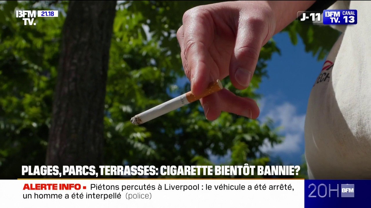 Plages, parcs, terrasses... la cigarette bientôt bannie de l'espace public?