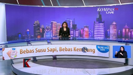 Dihadang saat Gerebek Kampung Bahari untuk Tangkap Pelaku Pengeroyokan, Polisi Lepaskan Gas Air Mata