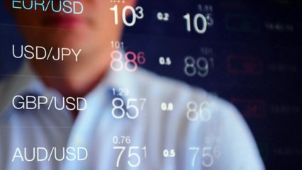 Exploring Educational Resources Provided by Turf Capital