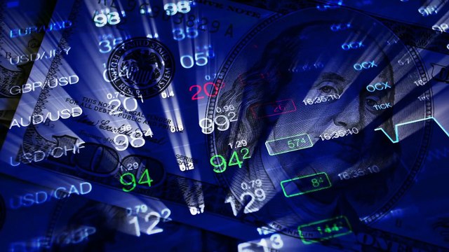 Why Turf Capital is the Best Starting Point for Forex Newcomers