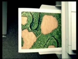 Food Trees for Africa