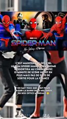 Spider man nwh de retour au ciné