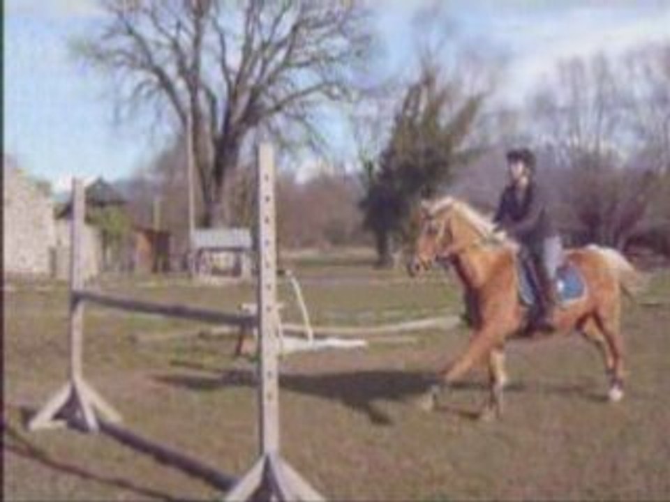 Ignes seance d'obstacle triple