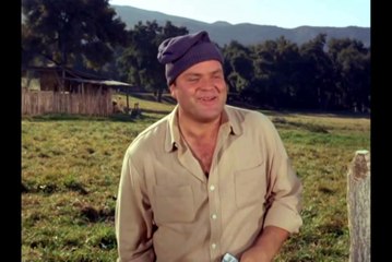 Bonanza 4x23-Un extraño pasó por aquí-HD