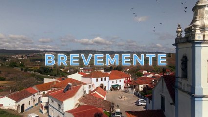 Festa é Festa | show | 2021 | Official Teaser