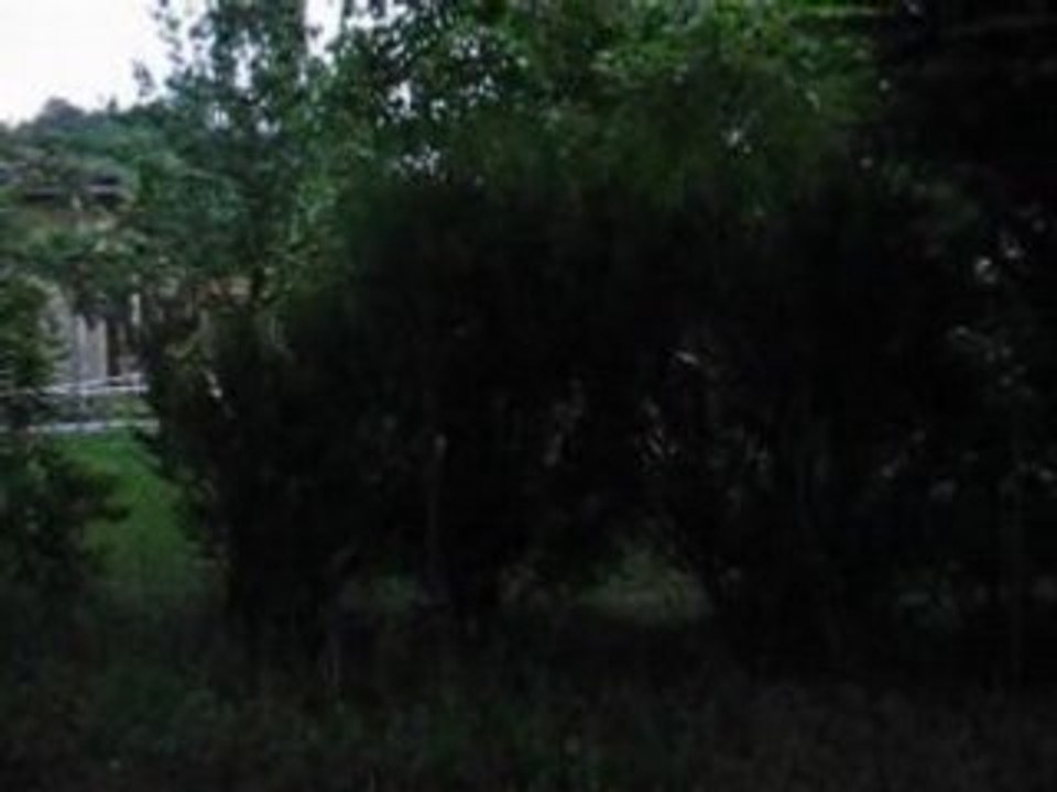 MVI_0404
