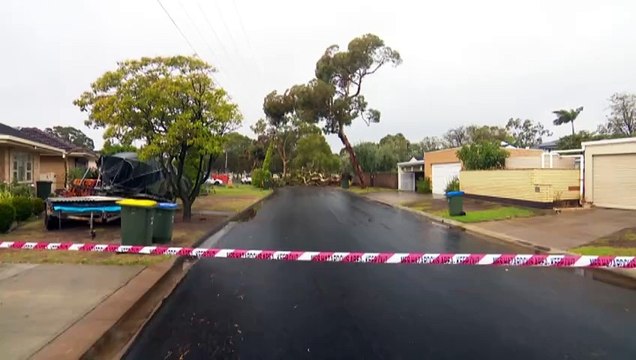 Dust storms and wild winds cause destruction across South Australia