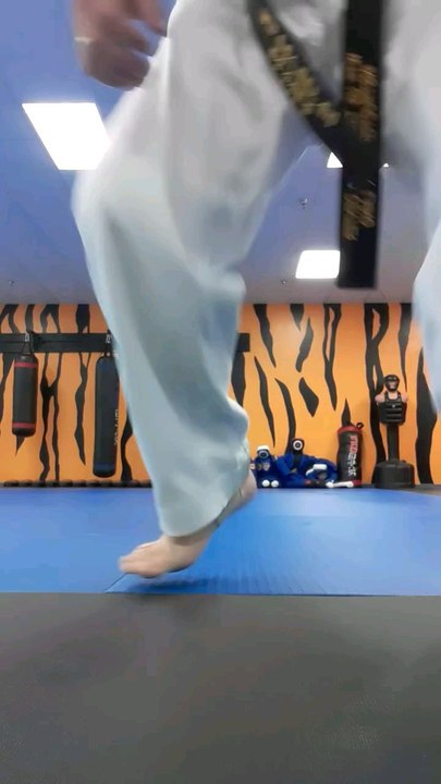 Tong Hap Kwan Hoshinsul/Hapkido Kicking Techniques