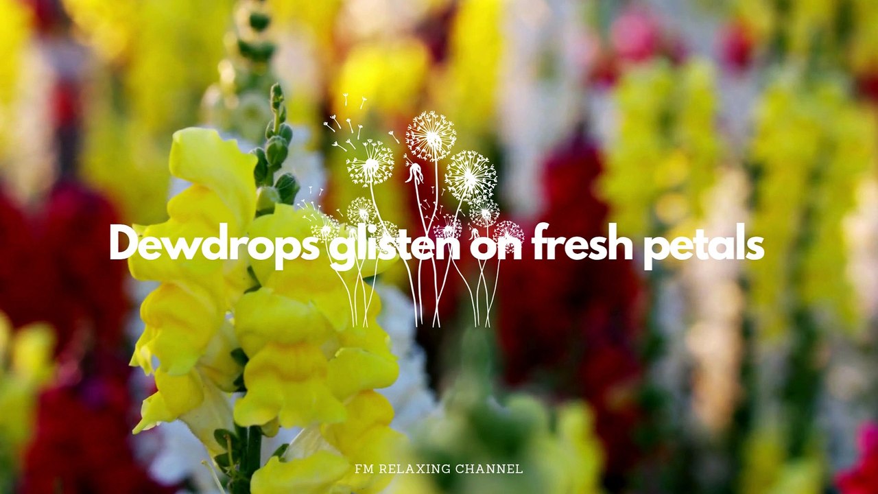 Peaceful Piano Music - For Healing Stress, Anxiety, Depressive States, Body & Soul Calming Music