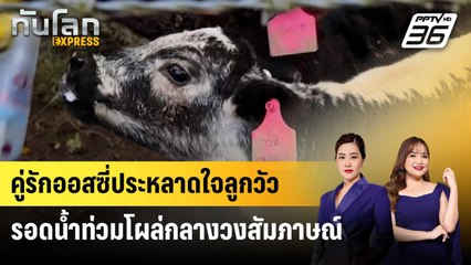 คู่รักออสซี่ประหลาดใจลูกวัวรอดน้ำท่วมโผล่กลางวงสัมภาษณ์ | ทันโลก EXPRESS | 27 พ.ค. 68