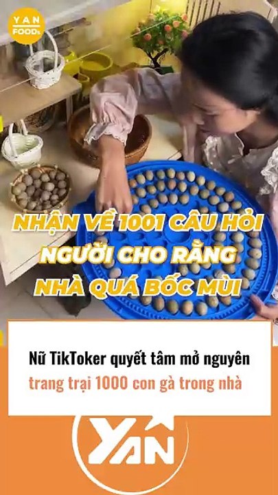 Nữ tiktoker quyết tâm mở trang trại nuôi 1000 con gà trong nhà