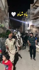 Karachi Biggest Sibbi   #lastday #sibbi #cowmandi #eiduladha2024 #cow