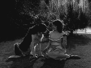 The Silent Detective (1924 Classic)