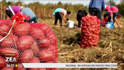 La Unión Europea clasifica a México como país de "riesgo estándar" en alimentos