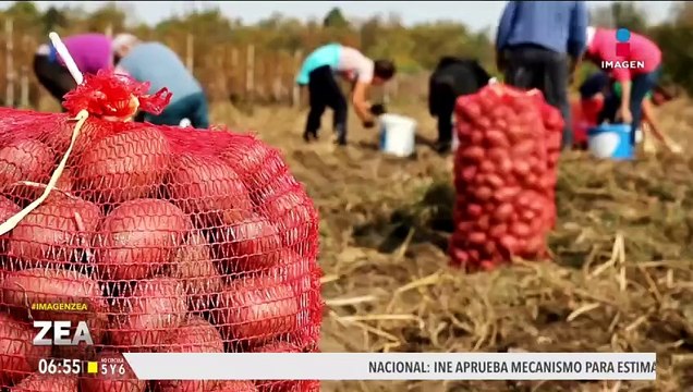La Unión Europea clasifica a México como país de riesgo estándar en alimentos