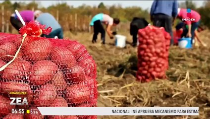 La Unión Europea clasifica a México como país de "riesgo estándar" en alimentos
