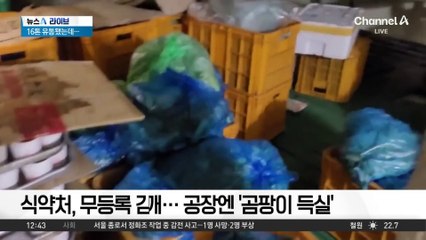 ‘1억 판매’ 김치찌개…공장엔 ‘곰팡이 득실’