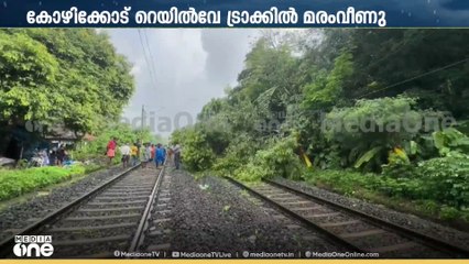 കോഴിക്കോട് റെയിൽവേ ട്രാക്കിൽ മരം വീണു; മന്ത്രി റിയാസ് സ്ഥലത്തെത്തി