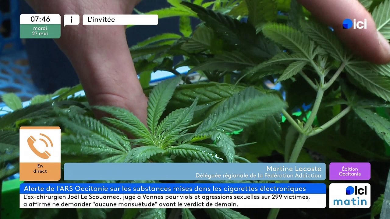 CBD trafiqu dans les vapoteuses et autres substances de synthse chez les  ados
