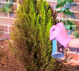 Dig Into These Fresh Gardening Hacks for Lush Results