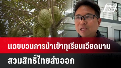 แฉขบวนการนำเข้าทุเรียนเวียดนาม สวมสิทธิ์ไทยส่งออก| เที่ยงทันข่าว | 27 พ.ค. 68