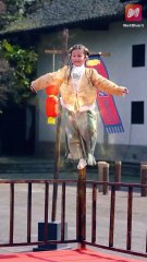 A bald beggar turns out to be a martial arts masterteaches his granddaughter to crush them all!