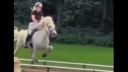 El tölt el paso único del caballo islandés que está fascinando al mundo