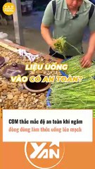 CĐM thắc mắc khi ngâm đòng đòng làm thức uống lúa mạch