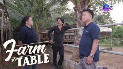 Farming tips from the owners of Bean and Gelli's Farm | Farm To Table