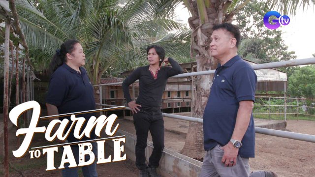 Farming tips from the owners of Bean and Gelli's Farm | Farm To Table