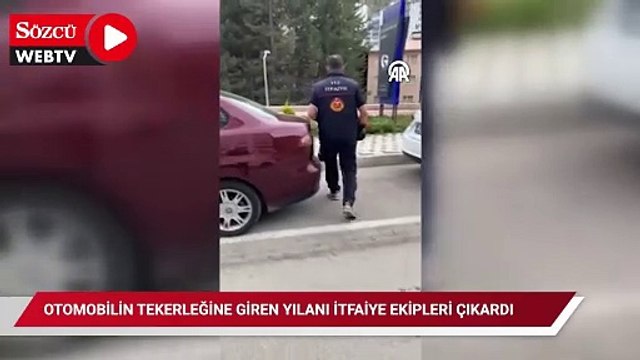 Otomobilin tekerleğine giren yılanı itfaiye ekipleri çıkardı