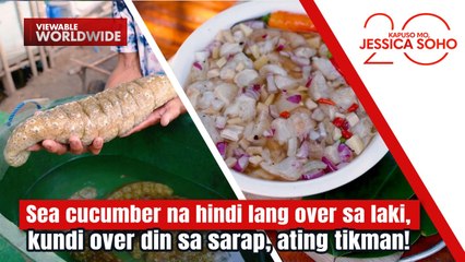 Sea cucumber na hindi lang over sa laki, kundi over din sa sarap, tikman! | Kapuso Mo, Jessica Soho