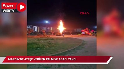 Mardin’de ateşe verilen palmiye ağacı yandı