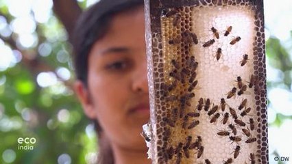 From passion to profit: The sweet success of beekeeping