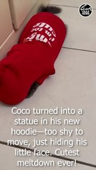 He was feelng sooo shy when we got him ths new hoodie..tht he was nt moving n hiding his face😀_1