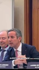 Calenda - Le #democrazie liberali sono sempre più deboli (27.05.25)