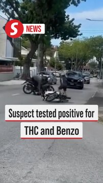 Cops nab snatch thief in Jelutong viral video