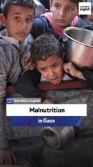 UNRWA spokesperson: Malnutrition in Gaza
