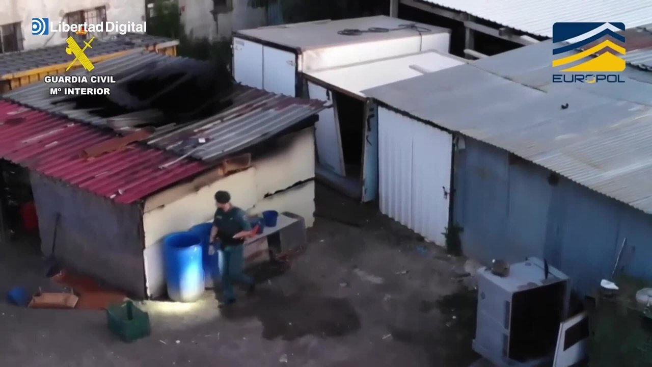 Cae una red de mataderos clandestinos en Ávila, Toledo y Madrid