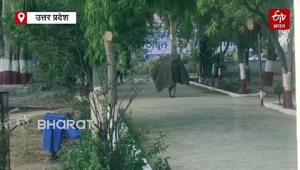VIDEO : थाने में समोसा-चटनी की खुशबू से मधुमक्खियां बेकाबू; भगाने के लिए छेड़ा छत्ता तो 30 मिनट तक हमला, 15 घायल