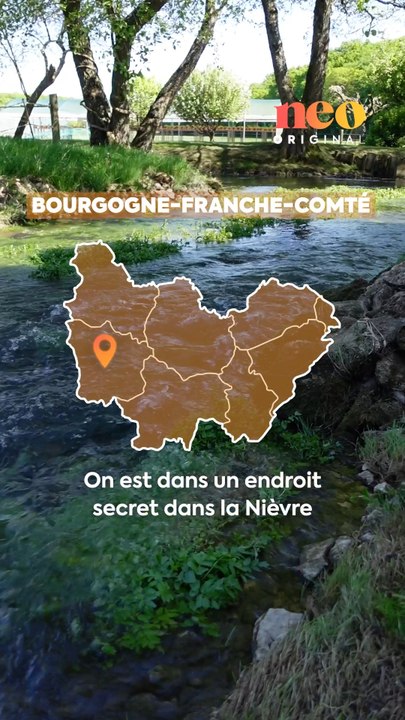 Dans la Nièvre se trouve le paradis du trèfle à quatre feuilles