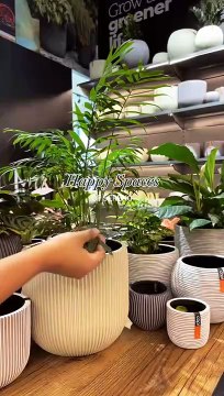 Buy Pots and Planters Online Easily with Sereno