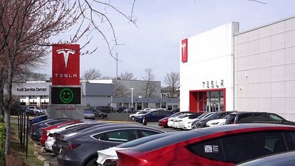 Vendas da Tesla registram queda expressiva na União Europeia