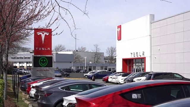 Vendas da Tesla registram queda expressiva na União Europeia