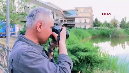 Diyarbakır'da sürpriz göçmen hareketliliği: Bilim insanları bu Çinli canlı için şehre akın etti!